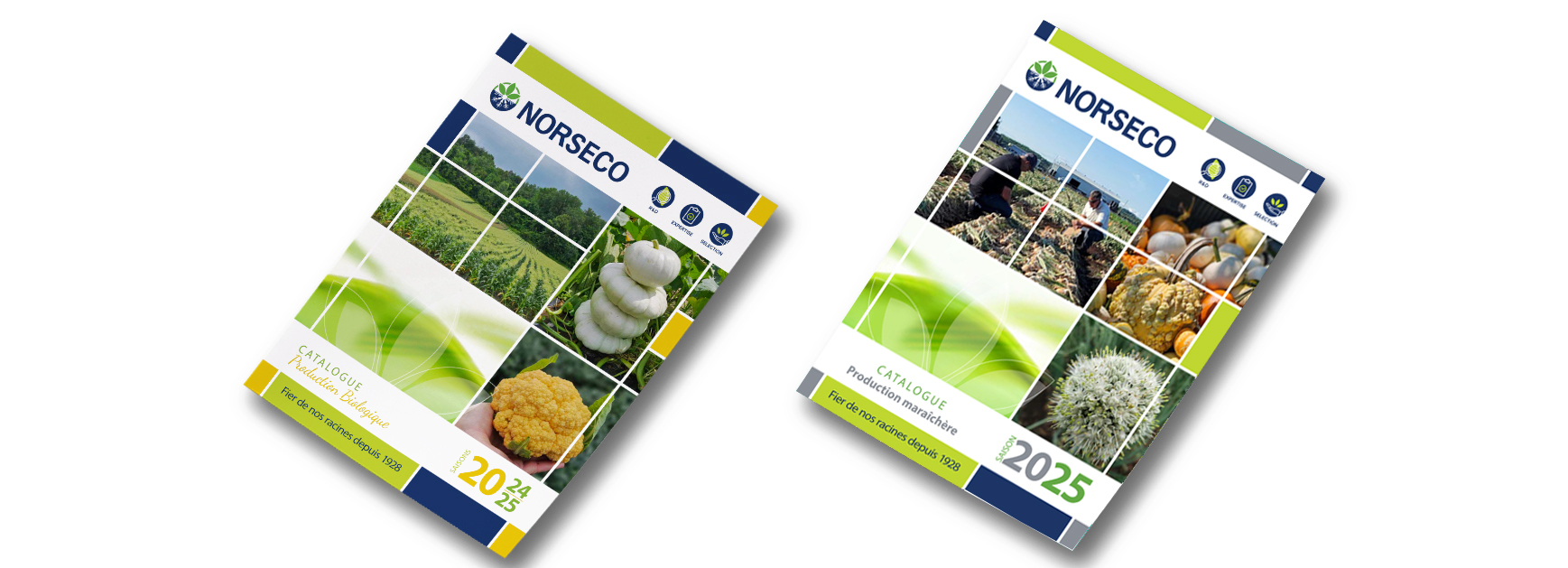 catalogues semences Norseco